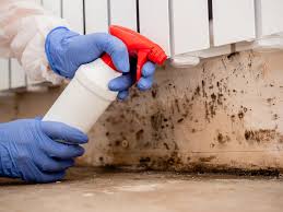 Best Black Mold Removal  in Chillicothe, MO